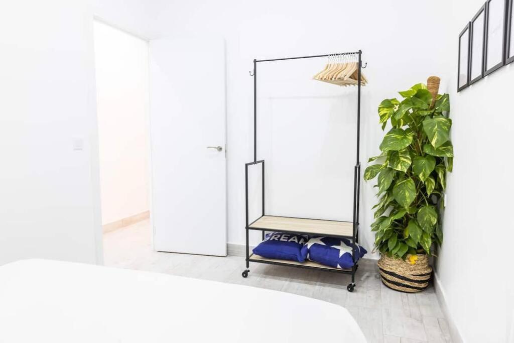La Casa Del Mercader By Gades Gestion Cadiz Exterior photo